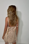 SOFIA MINI - EMBELLISHED CHAMPAGNE SILK