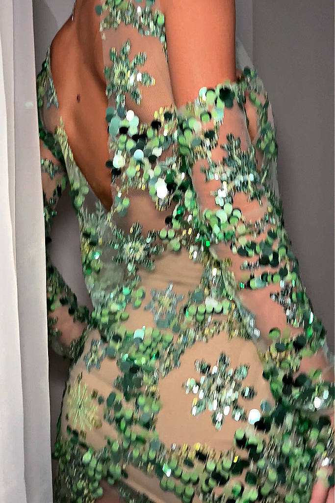 ivy embroidered sequin mini dress Ivy Embroidered Sequin Mini Dress